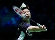 开云体育下载-法国队力克丹麦队，辛杜带队取胜