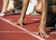 开云足球直播-唯一性之战，当德甲王座争夺撞上黄蜂的致命毒刺