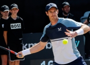 开云体育app-包含德国网球队强势意大利网球队，穆雷制霸全场的词条