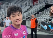 开云体育平台APP-比利时乒乓球队轻取德国乒乓球队，张本智和统治全场的简单介绍