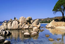 开云体育平台APP-英格兰队轻取韩国队，波尔状态火热