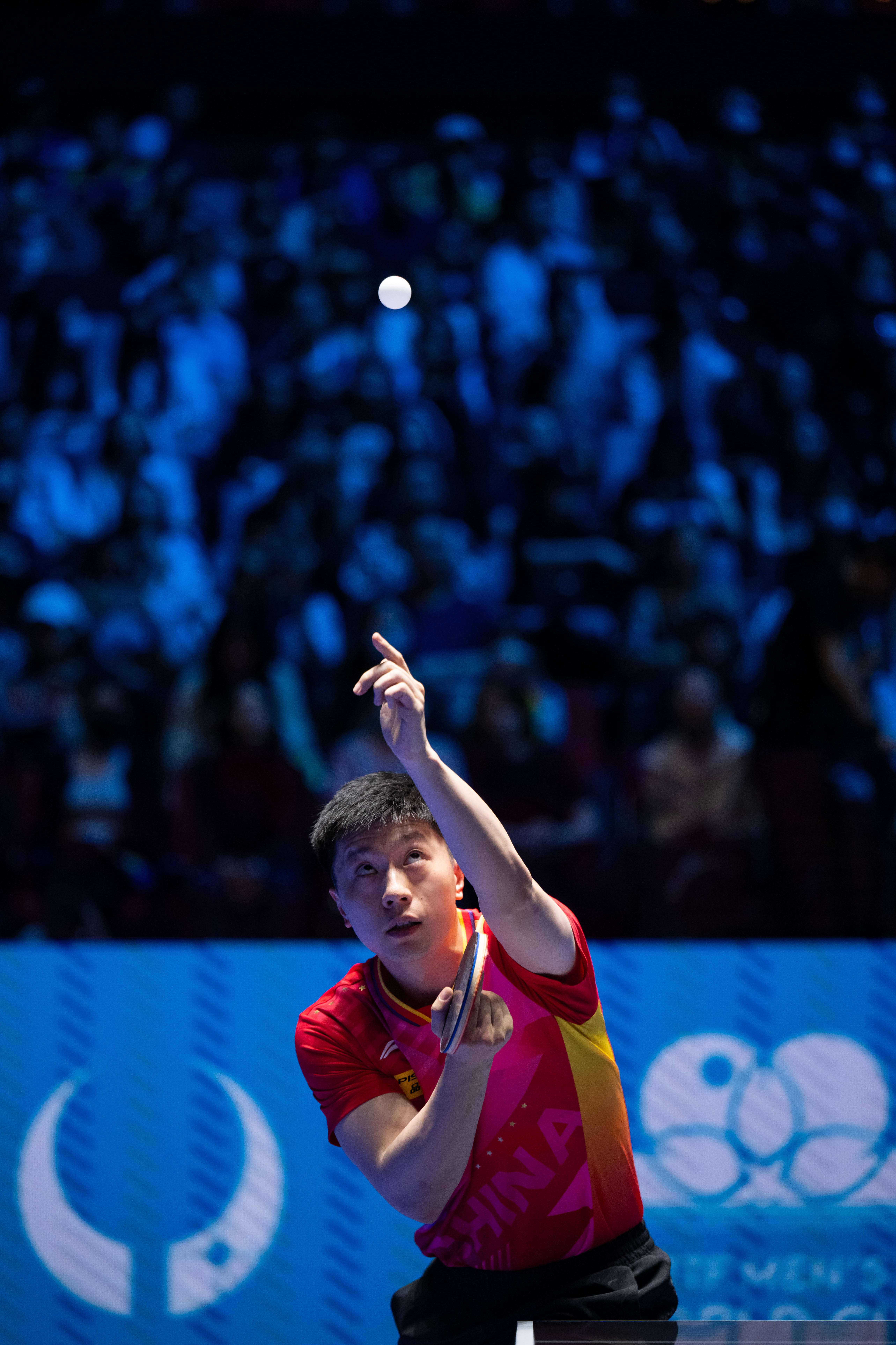 比利时乒乓球队完胜韩国乒乓球队，马龙爆发神勇的简单介绍