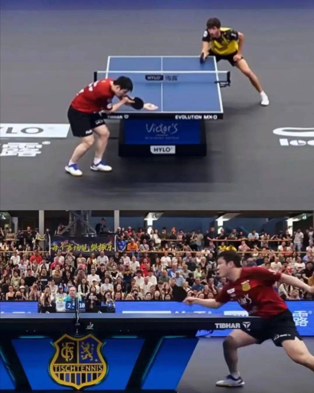 德国队翻盘波兰队，樊振东点燃赛场