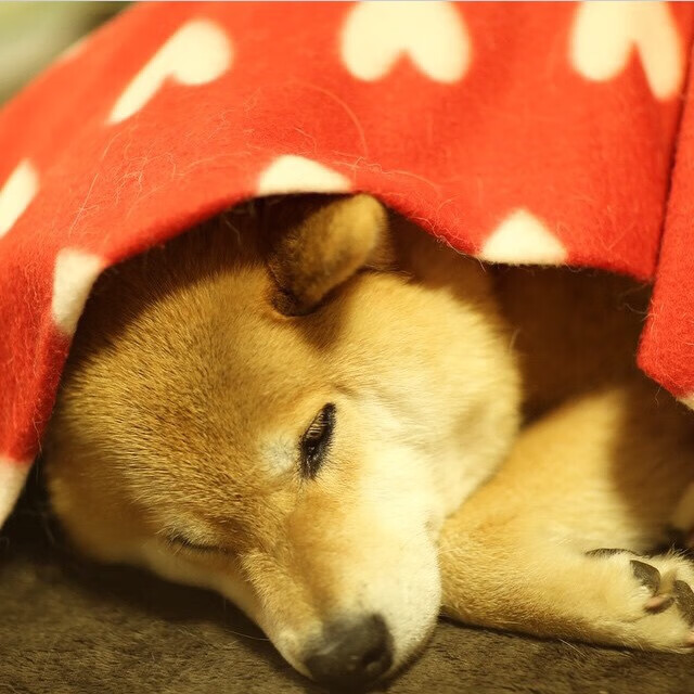 黄喜灿封神夜,伊拉克狂胜亚特兰大,亚洲之光在欧冠决赛接管比赛