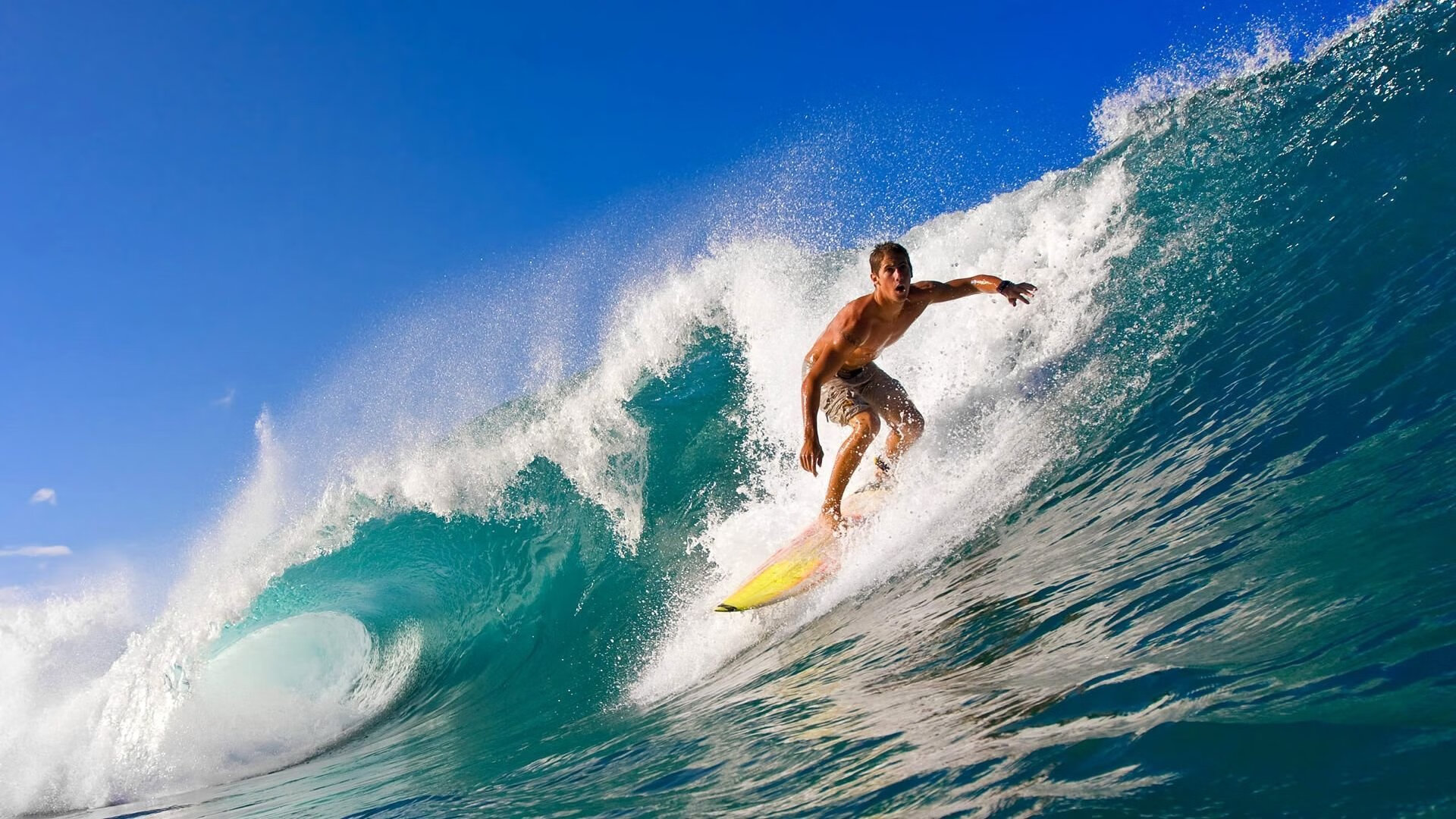 当鹈鹕闯入欧冠半决赛，一场强行终结奇才的焦点战启示录